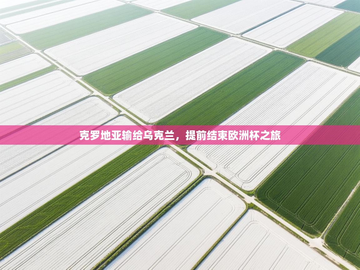 云开体育官网入口登录网页-克罗地亚输给乌克兰，提前结束欧洲杯之旅  第3张