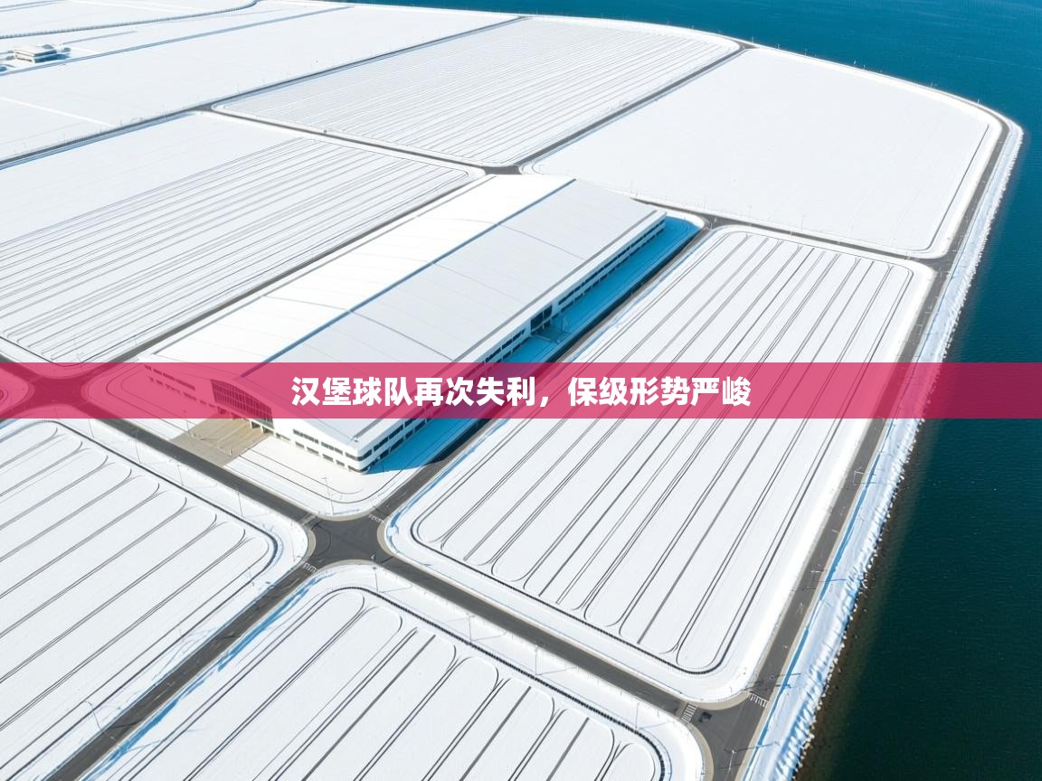 kaiyun-汉堡球队再次失利，保级形势严峻  第1张