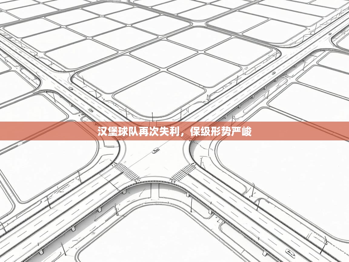 kaiyun-汉堡球队再次失利，保级形势严峻  第2张