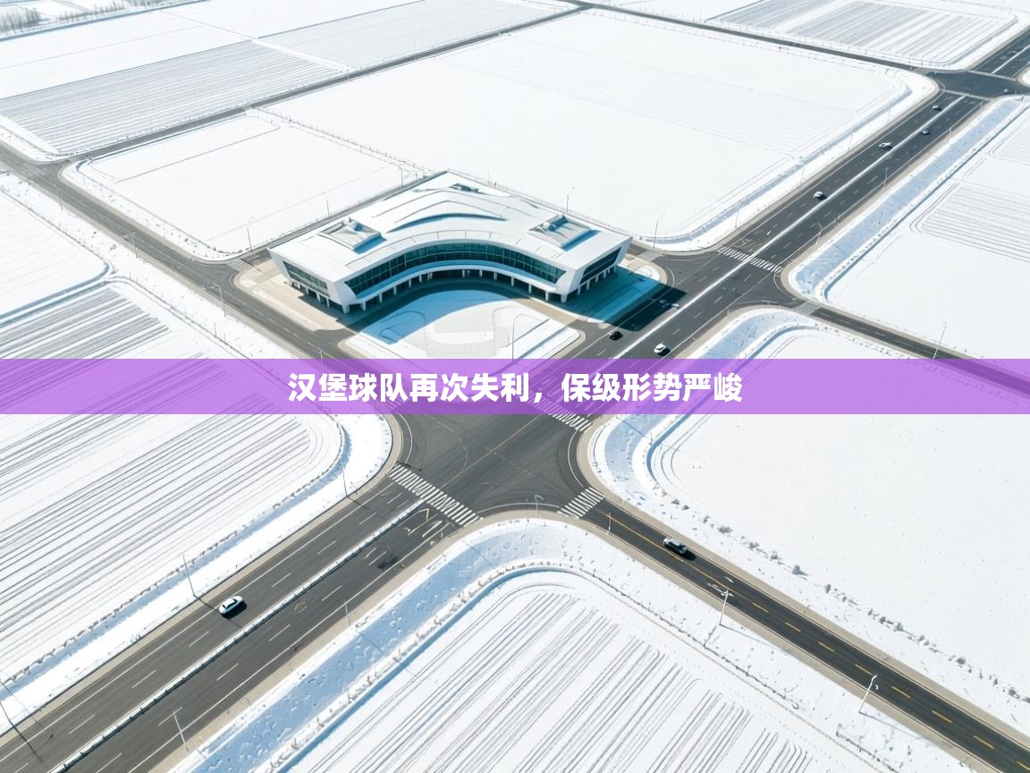 kaiyun-汉堡球队再次失利，保级形势严峻  第3张