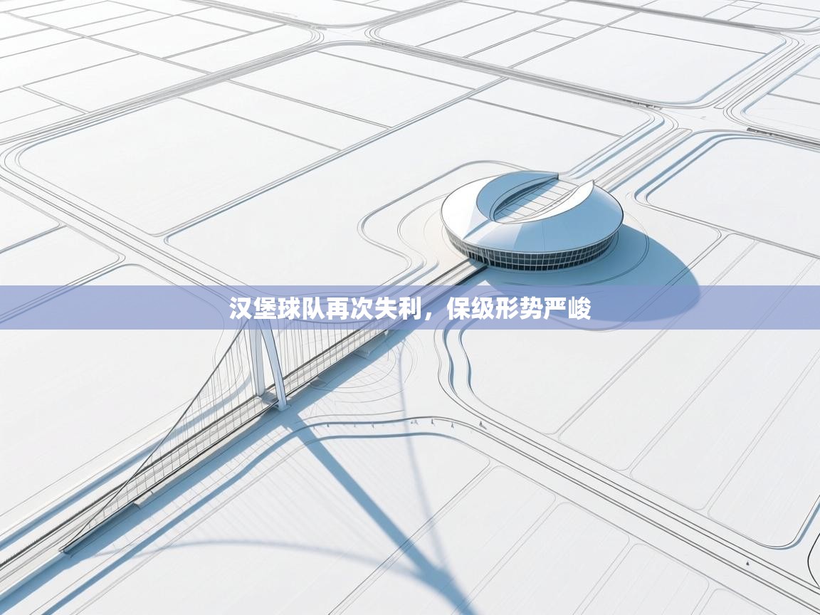 kaiyun-汉堡球队再次失利，保级形势严峻  第4张