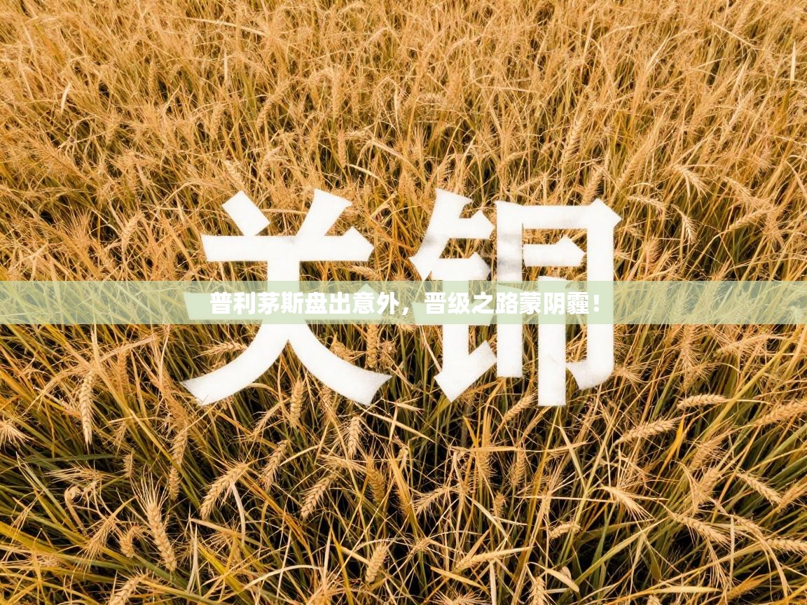 开云体育app官网网页登录入口-普利茅斯盘出意外，晋级之路蒙阴霾！  第4张