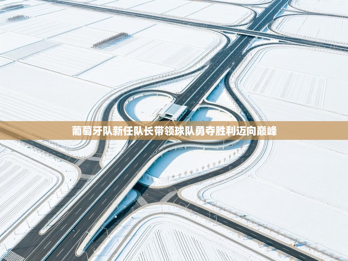 开云数据-葡萄牙队新任队长带领球队勇夺胜利迈向巅峰  第1张