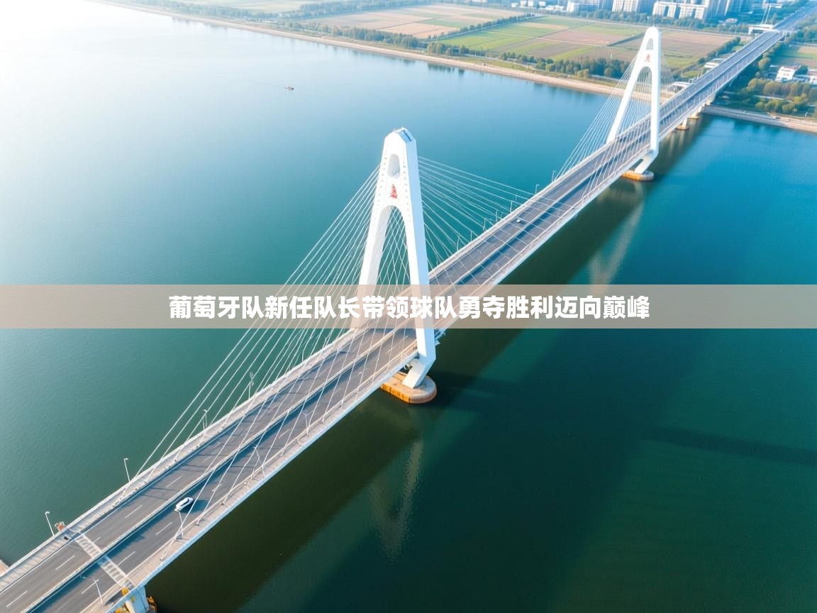 开云数据-葡萄牙队新任队长带领球队勇夺胜利迈向巅峰  第4张